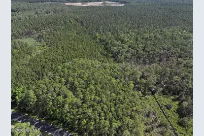 499 Tar Creek Road, Oriental, NC 28571 - Photo 30