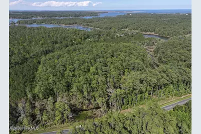 499 Tar Creek Road, Oriental, NC 28571 - Photo 8