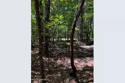Lot 1 Dan Road, Robbins, NC 27325 - Photo 12