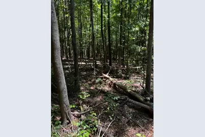 Lot 1 Dan Road, Robbins, NC 27325 - Photo 8