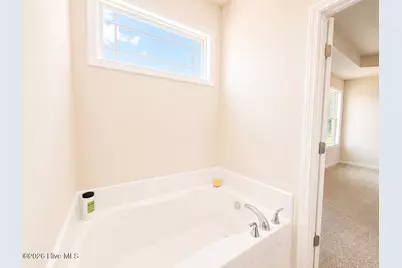 159 Hummingbird Grove Lane, Princeton, NC 27569 - Photo 16