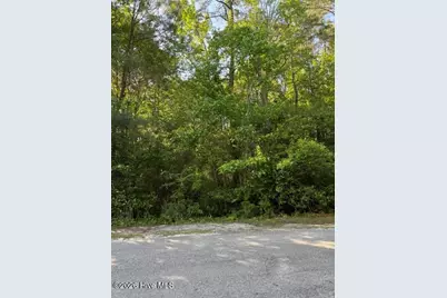 103 Emerson Court, Hampstead, NC 28443 - Photo 2