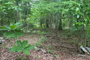 104 River Rd, Blounts Creek, NC 27814 - Photo 2
