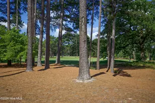 10 Pine Tree Rd, Pinehurst, NC 28374 - Photo 34