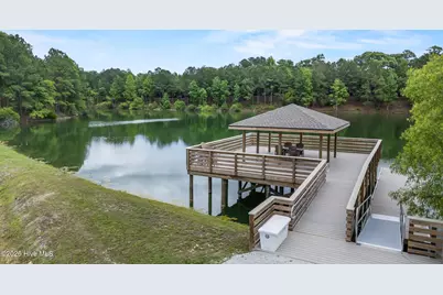 2823 Salvador Way, Castle Hayne, NC 28429 - Photo 56