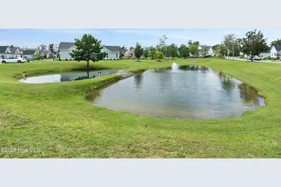 2823 Salvador Way, Castle Hayne, NC 28429 - Photo 48