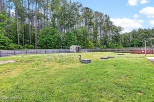 102 Blossom Court, Maple Hill, NC 28454 - Photo 26