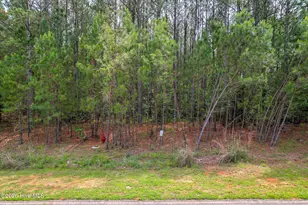 1054 Longleaf Wy, Lincolnton, GA 30817 - Photo 1