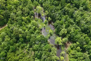 1016 Wiley Gaskins Rd, Grifton, NC 28530 - Photo 74