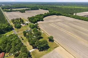 2336 Wharton Station Rd, Washington, NC 27889 - Photo 50