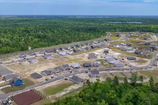 1198 Sandy Heights Loop, Navassa, NC 28451 - Photo 44