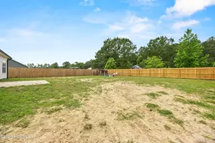 309 Belgian Ct, Richlands, NC 28574 - Photo 36