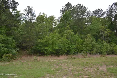 00 Old Barnwell Road Road, Windsor, SC 29856 - Photo 12