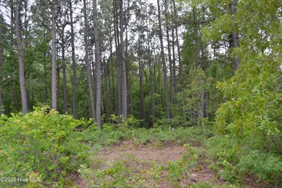 00 Old Barnwell Road Road, Windsor, SC 29856 - Photo 18