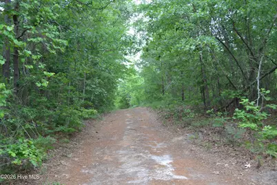 00 Old Barnwell Road Road, Windsor, SC 29856 - Photo 2