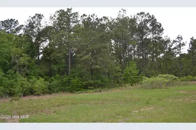 00 Old Barnwell Road Road, Windsor, SC 29856 - Photo 14