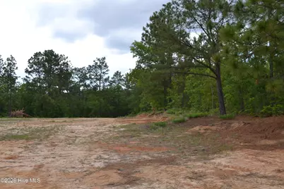 00 Old Barnwell Road Road, Windsor, SC 29856 - Photo 8