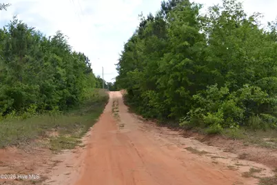 00 Old Barnwell Road Road, Windsor, SC 29856 - Photo 20
