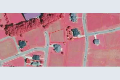 31 Eltham, Rocky Mount, NC 27804 - Photo 6