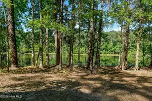 350 Brinkley Rd, Carthage, NC 28327 - Photo 30