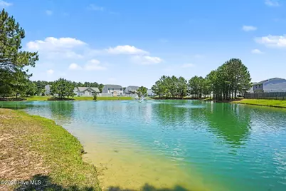 916 Clay Pigeon Court, Longs, SC 29568 - Photo 28