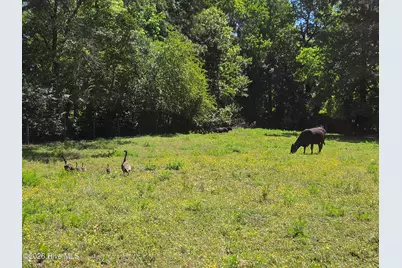 1807 Nc Highway 111, Chinquapin, NC 28521 - Photo 32