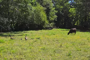 1807 Nc Hwy 111, Chinquapin, NC 28521 - Photo 32
