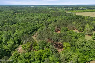 2035 County Line Rd, Blythe, GA 30805 - Photo 44