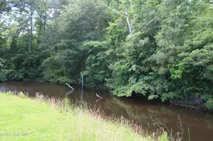 17038 E Nc 55 Hwy, Bayboro, NC 28515 - Photo 10