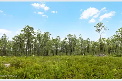Tract 1 Hwy 17 Off, Hampstead, NC 28443 - Photo 20