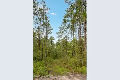Tract 1 Hwy 17 Off, Hampstead, NC 28443 - Photo 22