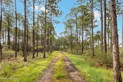 Tract  2 Hwy 17 Off, Hampstead, NC 28443 - Photo 26