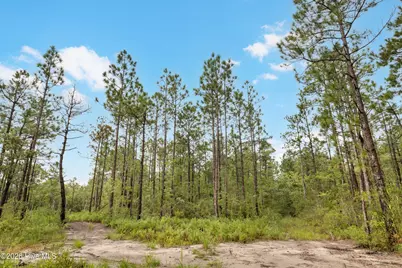 Tract  3 Hwy 17 Off, Hampstead, NC 28443 - Photo 8