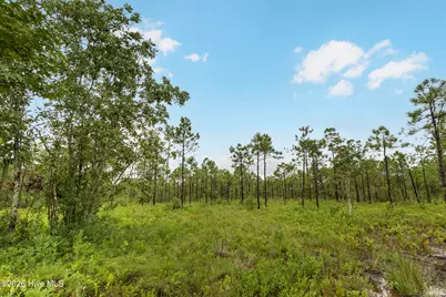 Tract  4 Hwy 17 Off, Hampstead, NC 28443 - Photo 6