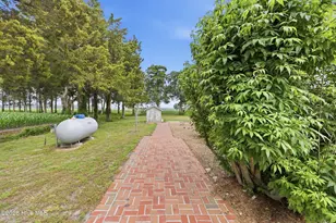 725 Griffin Swamp Rd, Elizabeth City, NC 27909 - Photo 70