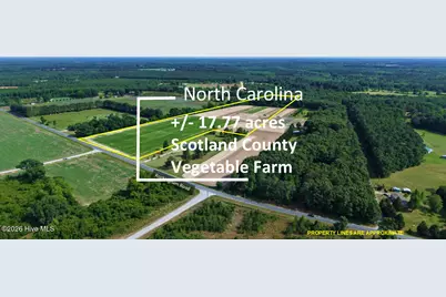 5901 Rockingham Road, Laurel Hill, NC 28351 - Photo 1