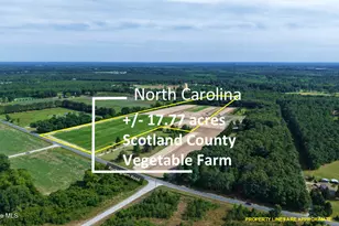 5901 Rockingham Rd, Laurel Hill, NC 28351 - Photo 1