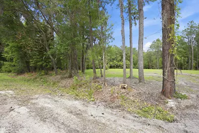 163 Trent Shores Drive, New Bern, NC 28562 - Photo 2