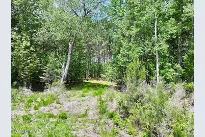 0 Skeeter Pond Road, Grifton, NC 28530 - Photo 28