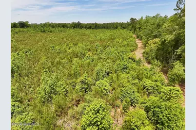 0 Skeeter Pond Road, Grifton, NC 28530 - Photo 42