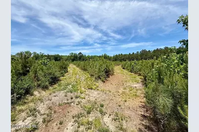 0 Skeeter Pond Road, Grifton, NC 28530 - Photo 50
