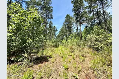 0 Skeeter Pond Road, Grifton, NC 28530 - Photo 24