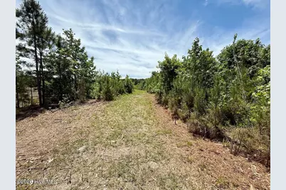0 Skeeter Pond Road, Grifton, NC 28530 - Photo 48