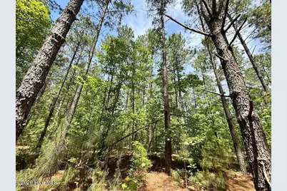 0 Skeeter Pond Road, Grifton, NC 28530 - Photo 44
