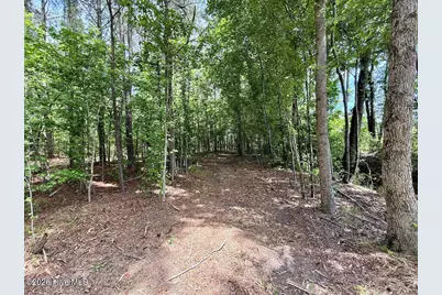 0 Skeeter Pond Road, Grifton, NC 28530 - Photo 52