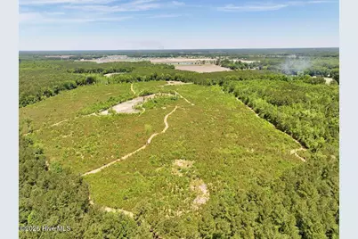 0 Skeeter Pond Road, Grifton, NC 28530 - Photo 10