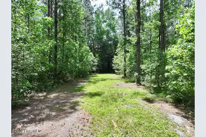 0 Skeeter Pond Road, Grifton, NC 28530 - Photo 22