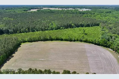 0 Skeeter Pond Road, Grifton, NC 28530 - Photo 2