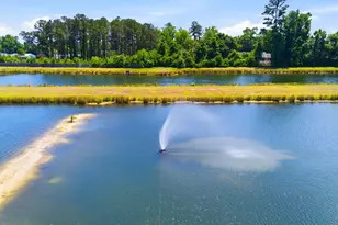 441 Tributary Cir, Wilmington, NC 28401 - Photo 32