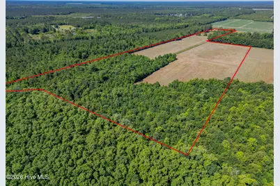 9851 Hallsboro Road S, Whiteville, NC 28472 - Photo 4